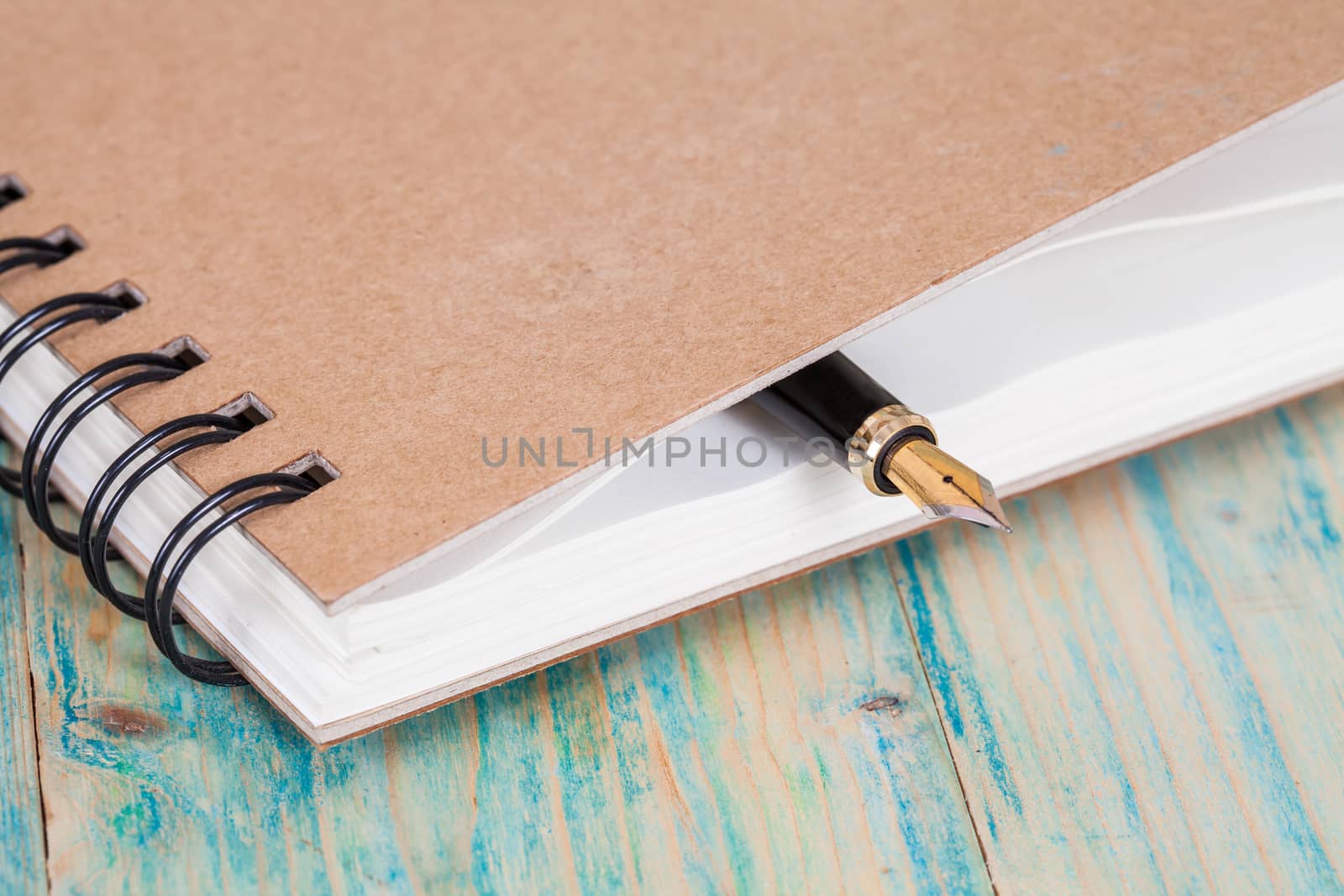 selective focus of the  pen on opened lined diary book , 
extremely shallow DOF