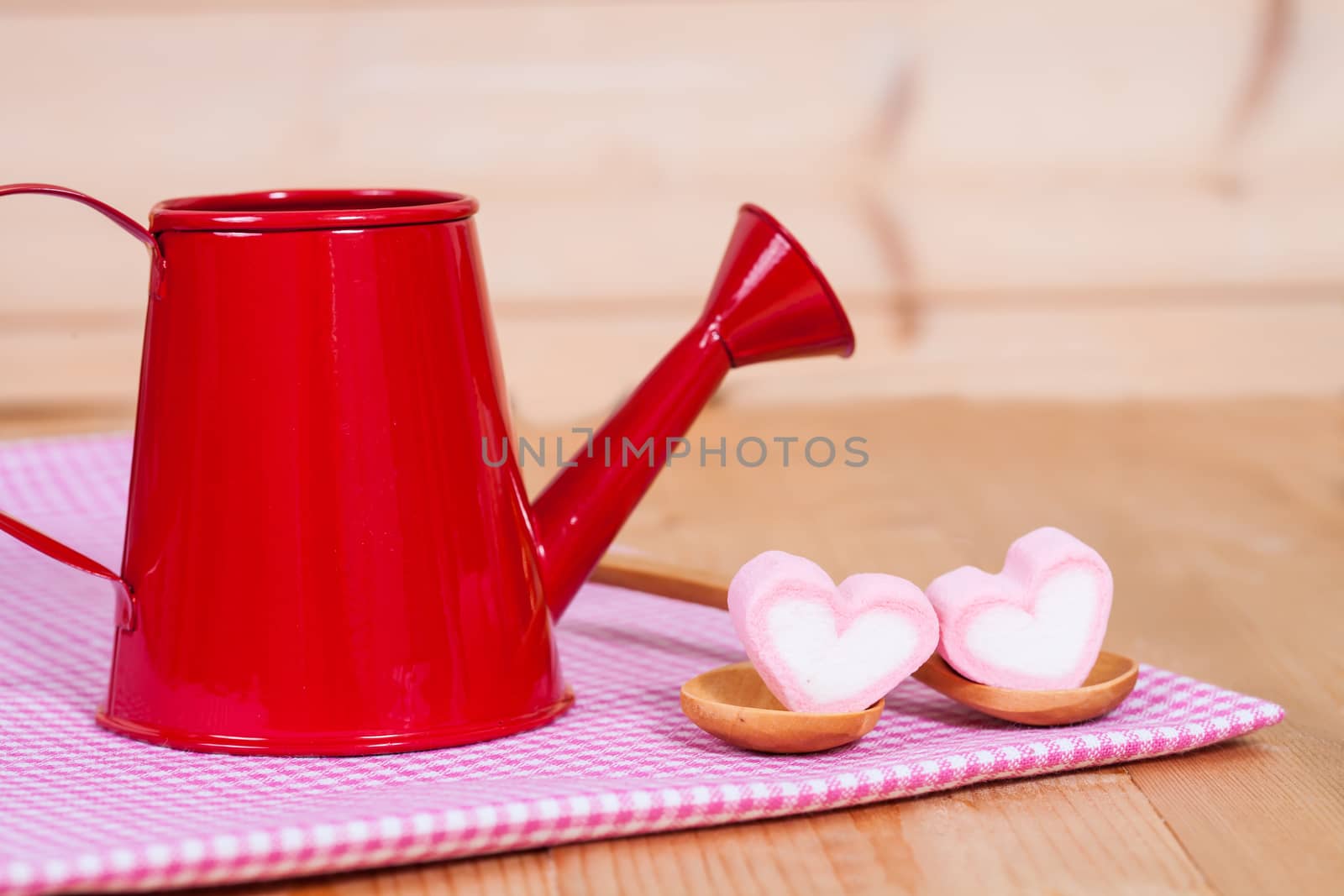 flowers in red watering on wood
