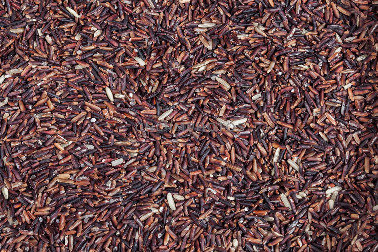 raw Rice berry  background
