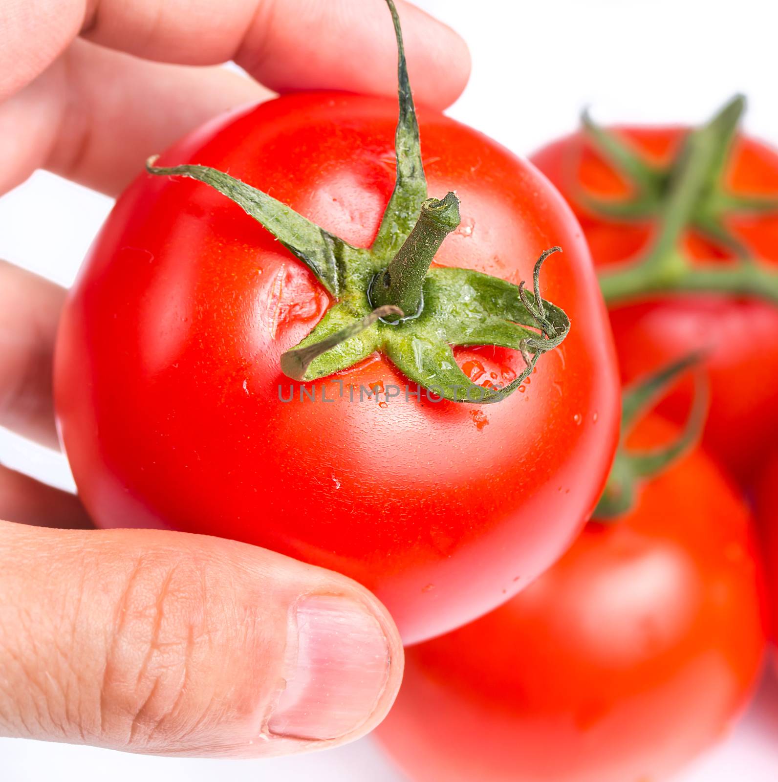 Inspecting a fresh ripe red tomato for eating  by stuartmiles