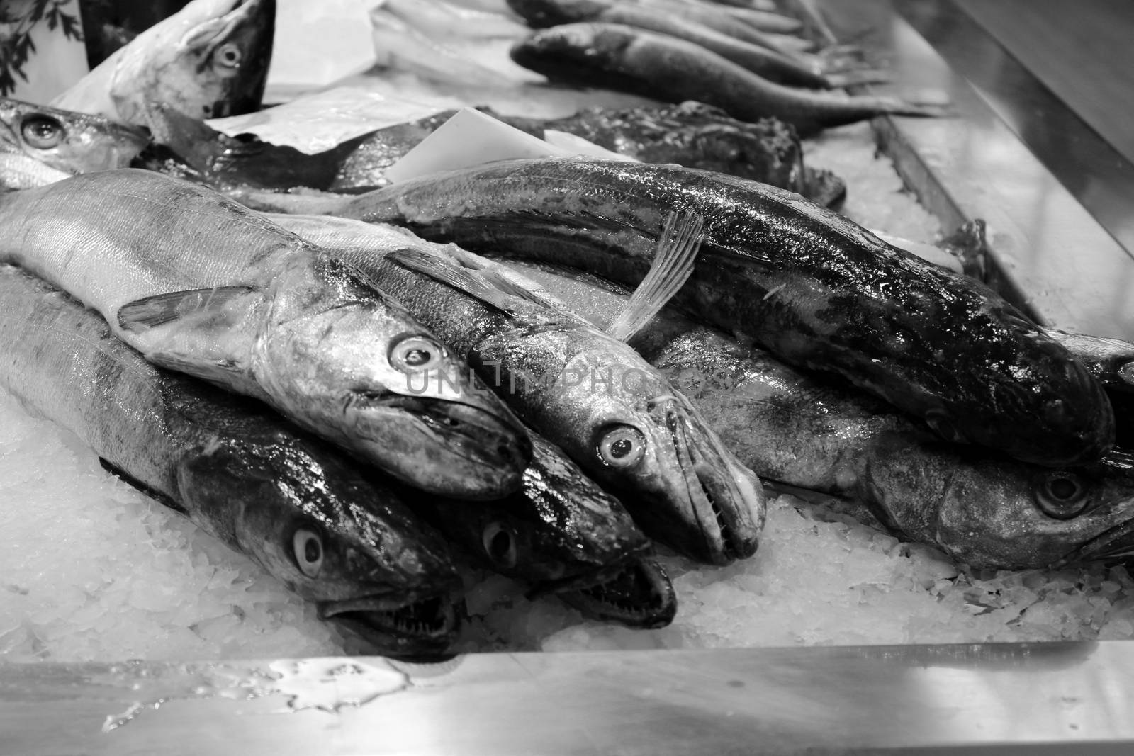 fish market in a southern europe cities