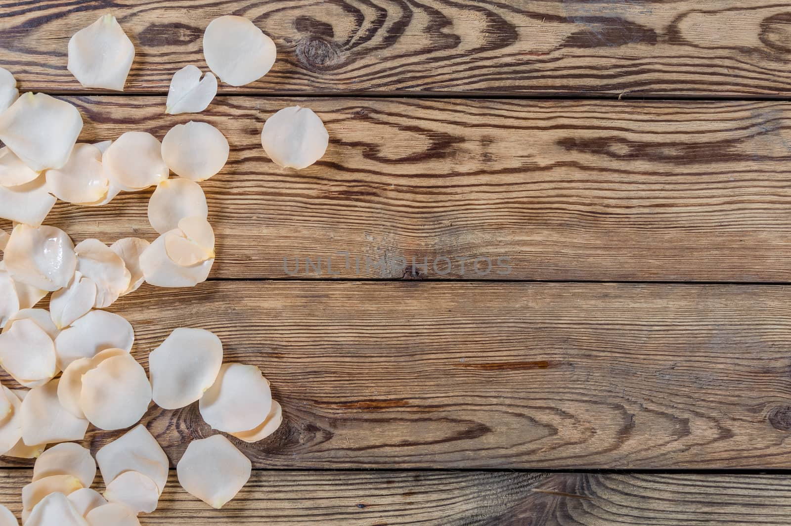 Beautiful roses on wooden table, rustic style