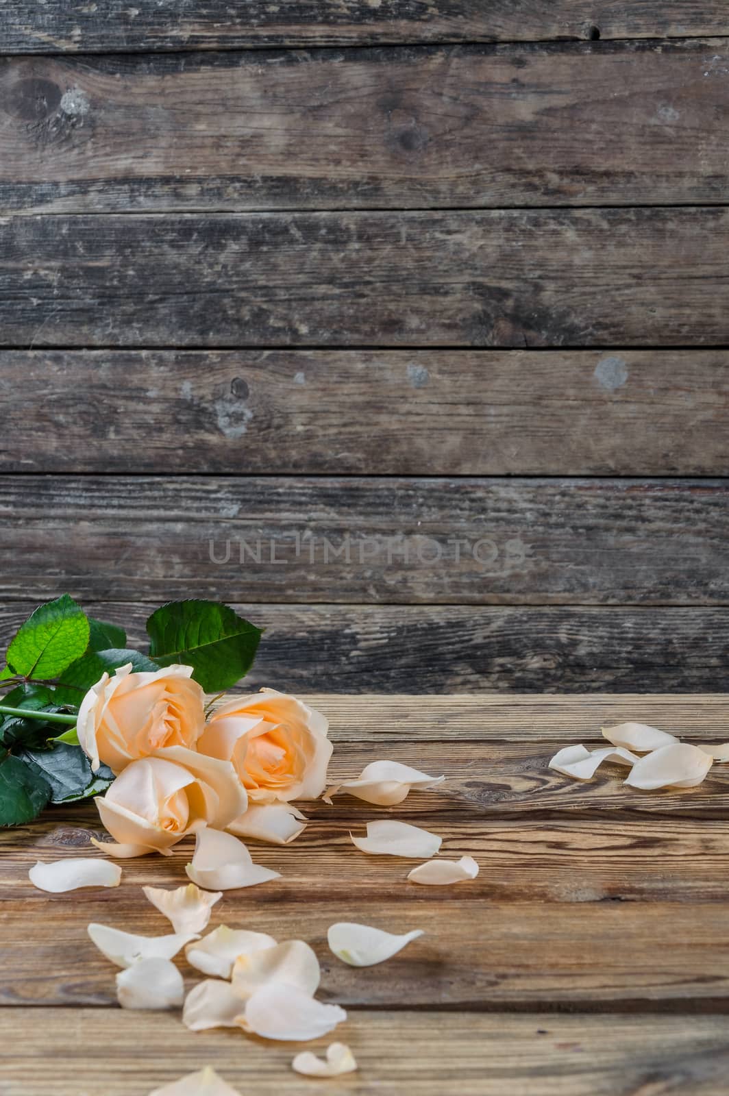 Beautiful roses on wooden table, rustic style