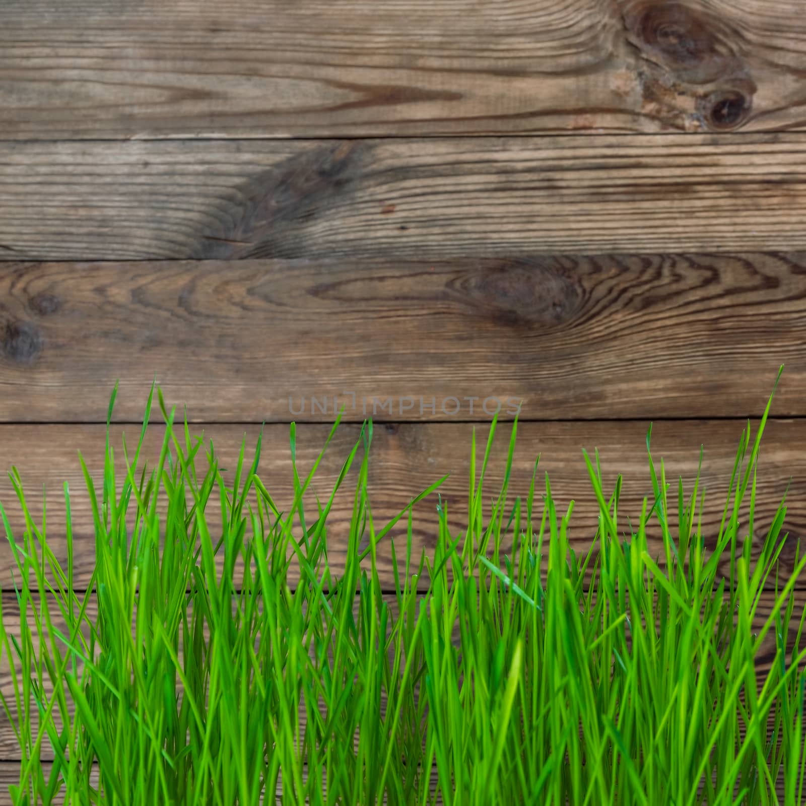 Rustic background with green grass
