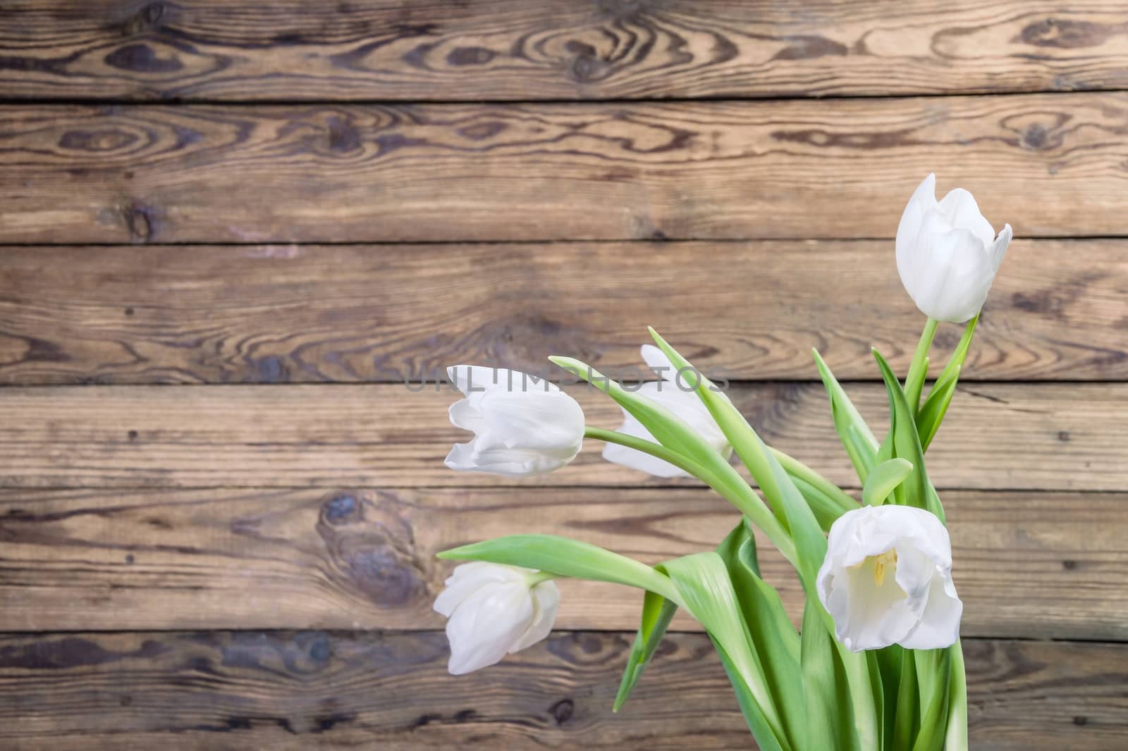 Rustic background with tulip flowers