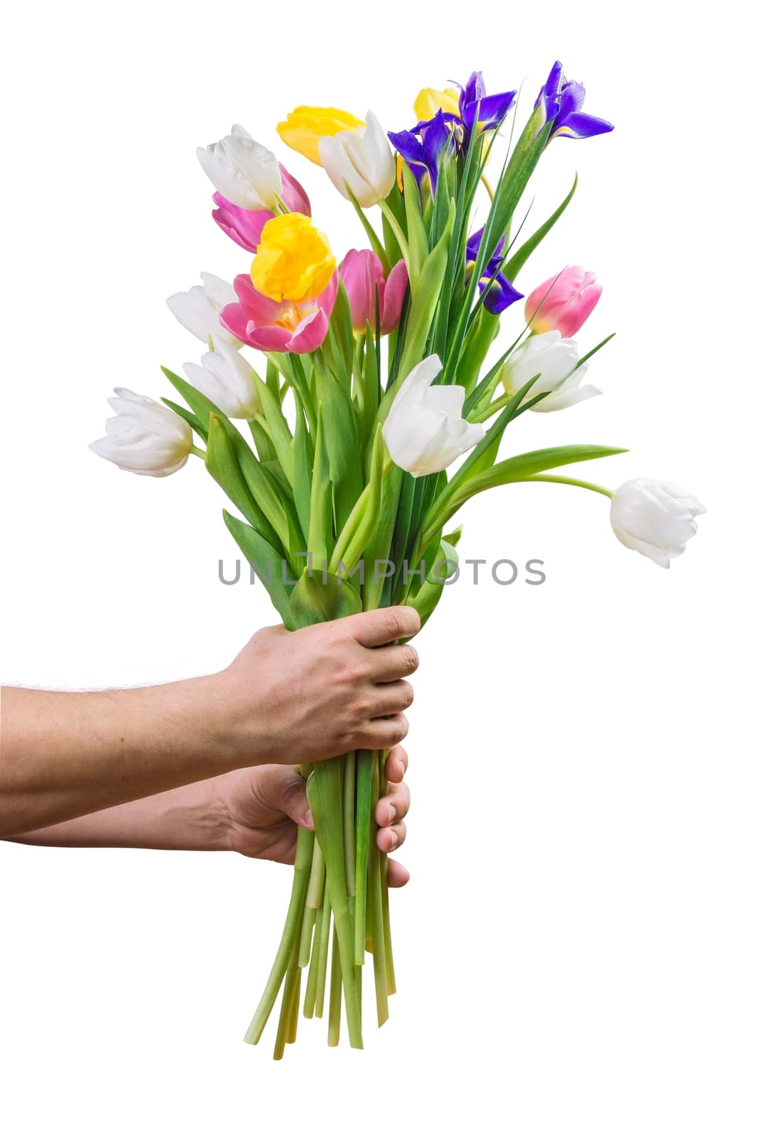 Large bouquet of beautiful flowers in male hands isolated