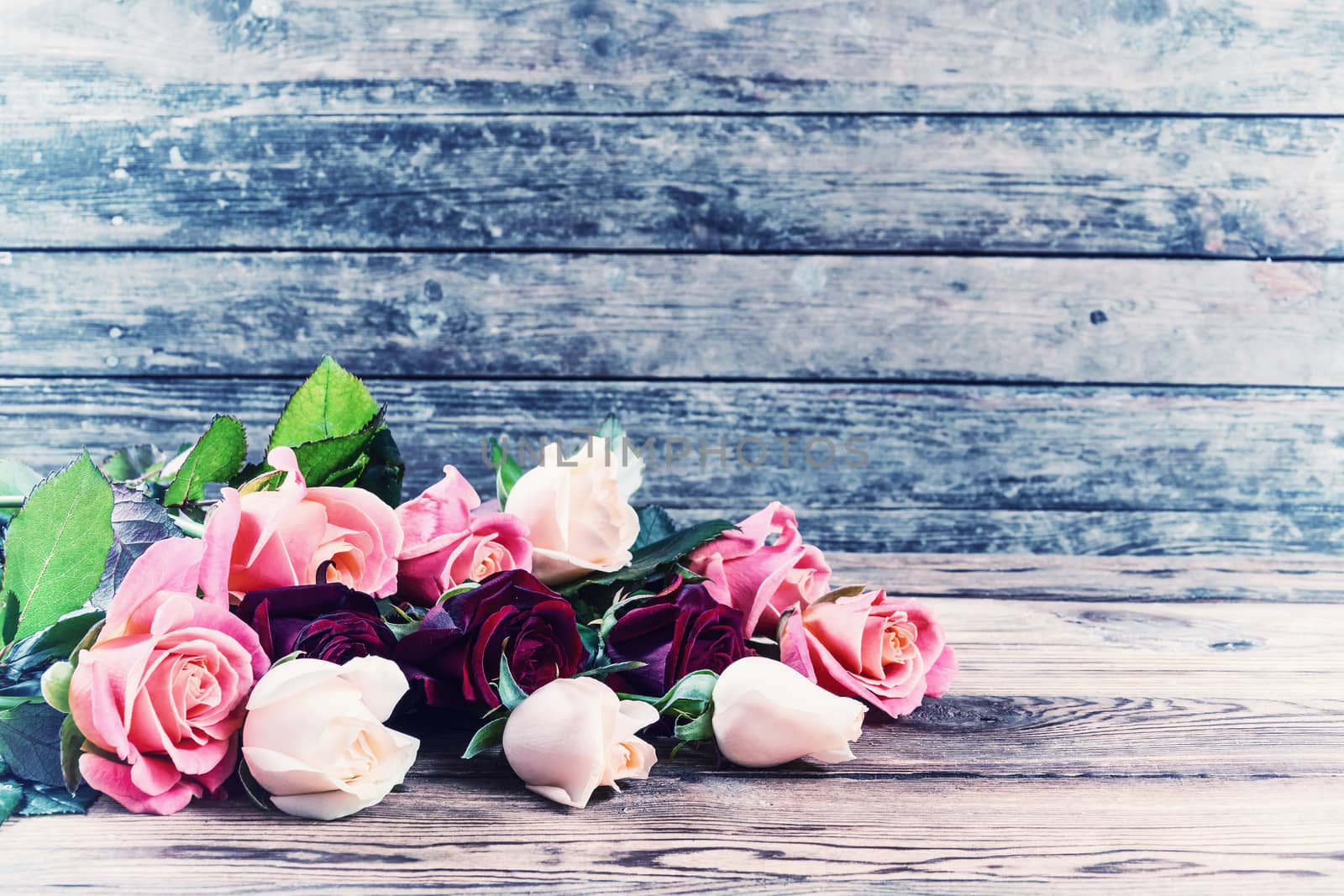 Vintage beautiful roses on old wooden table