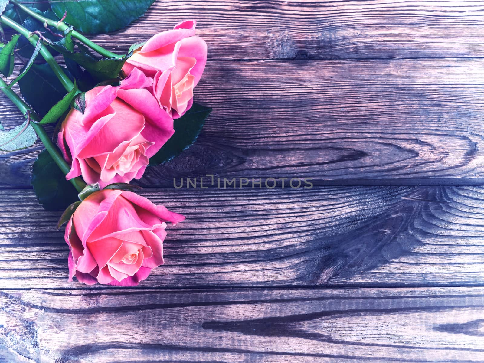 Vintage beautiful roses on wooden table, rustic style
