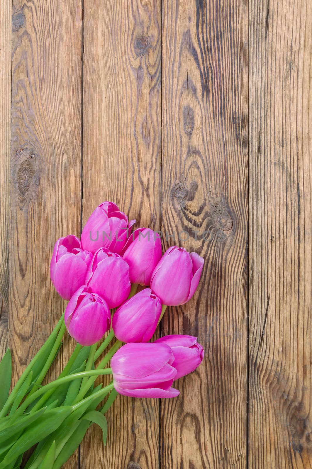 Beautiful tulip flowers on rustic wooden background 