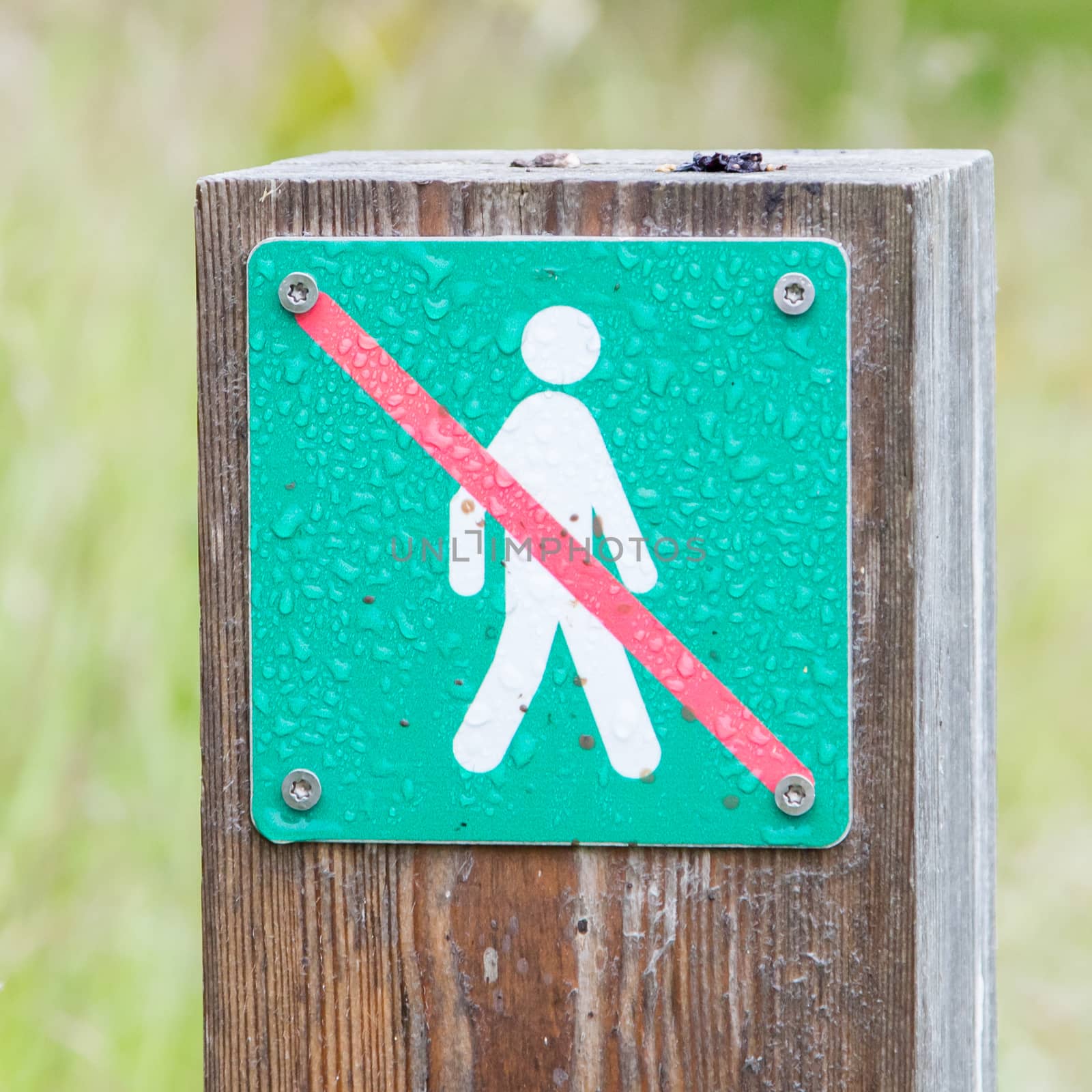 Forbidden to walk over here - Iceland by michaklootwijk