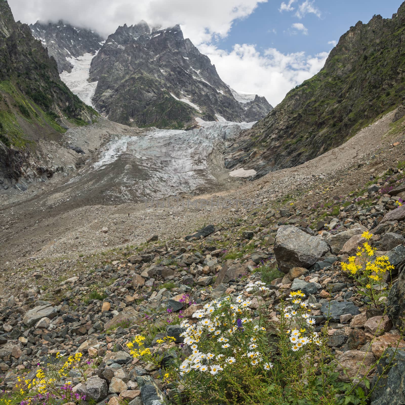 Landscape with a view of the glacier Chalatsky