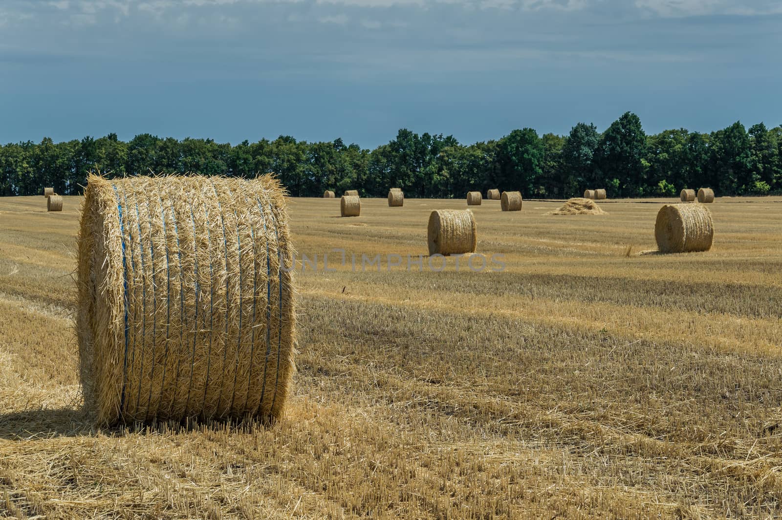 Field with haystacks by firewings