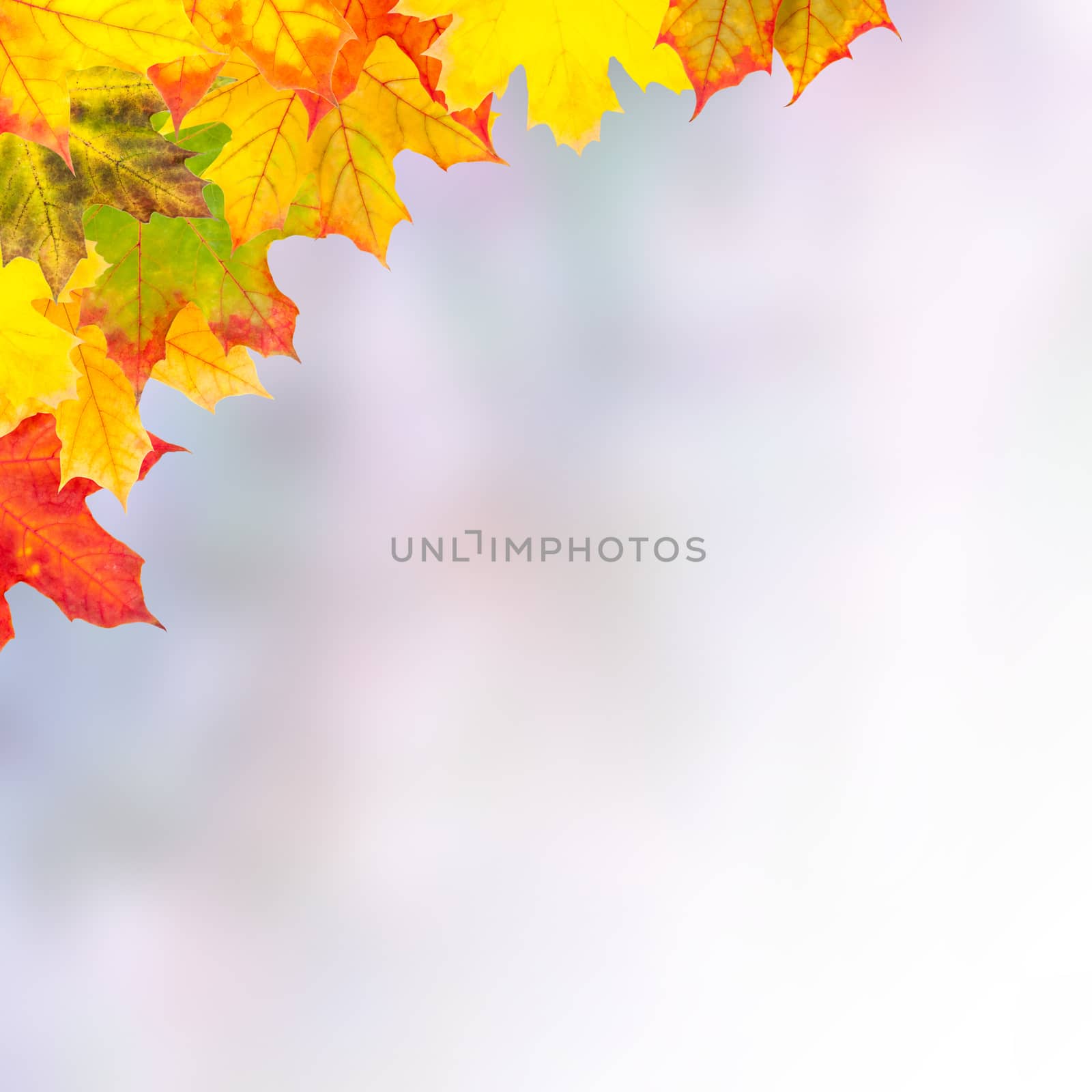 Autumn background by firewings