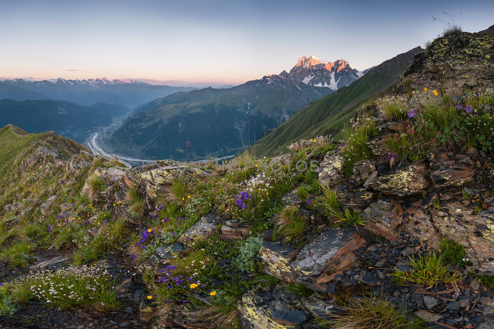 Beautiful mountain landscape with flower meadow