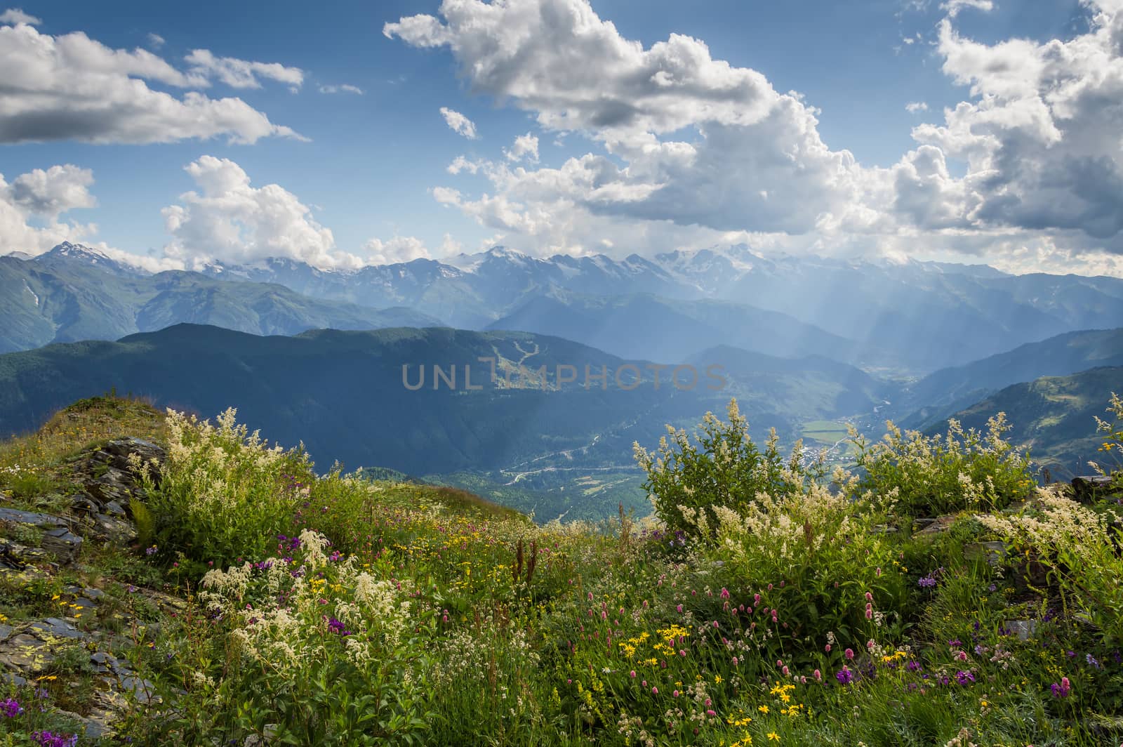 Beautiful mountain landscape with flower meadow