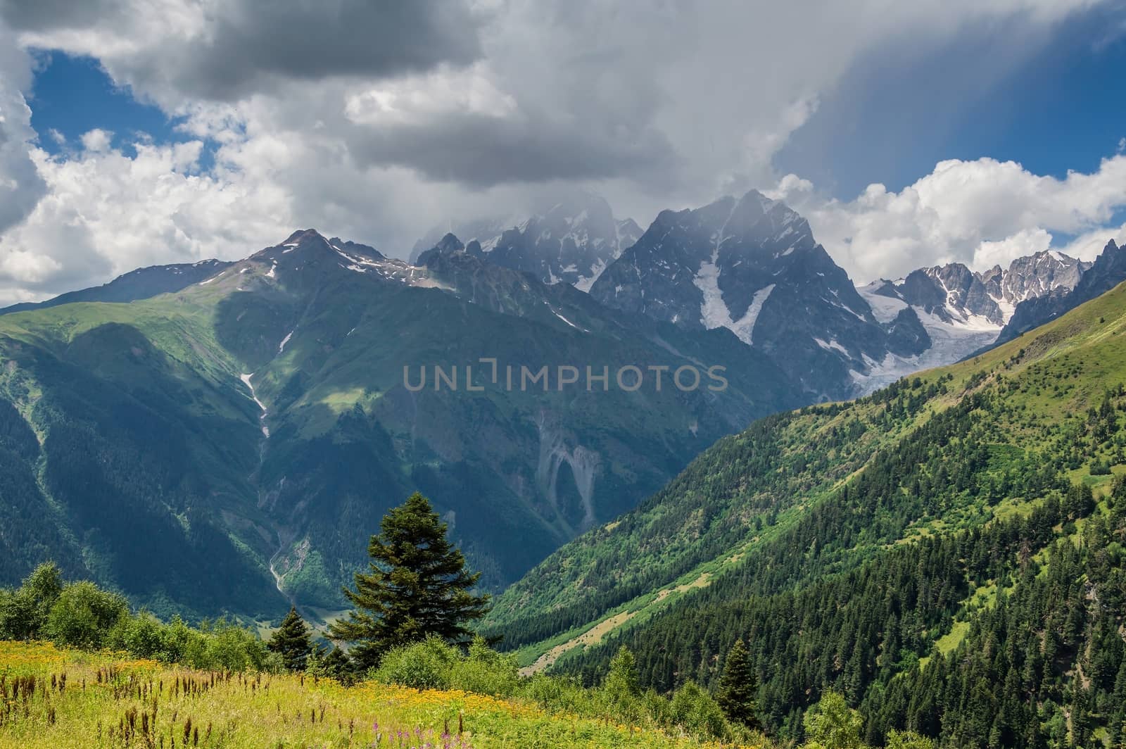 Landscape with mountain by firewings