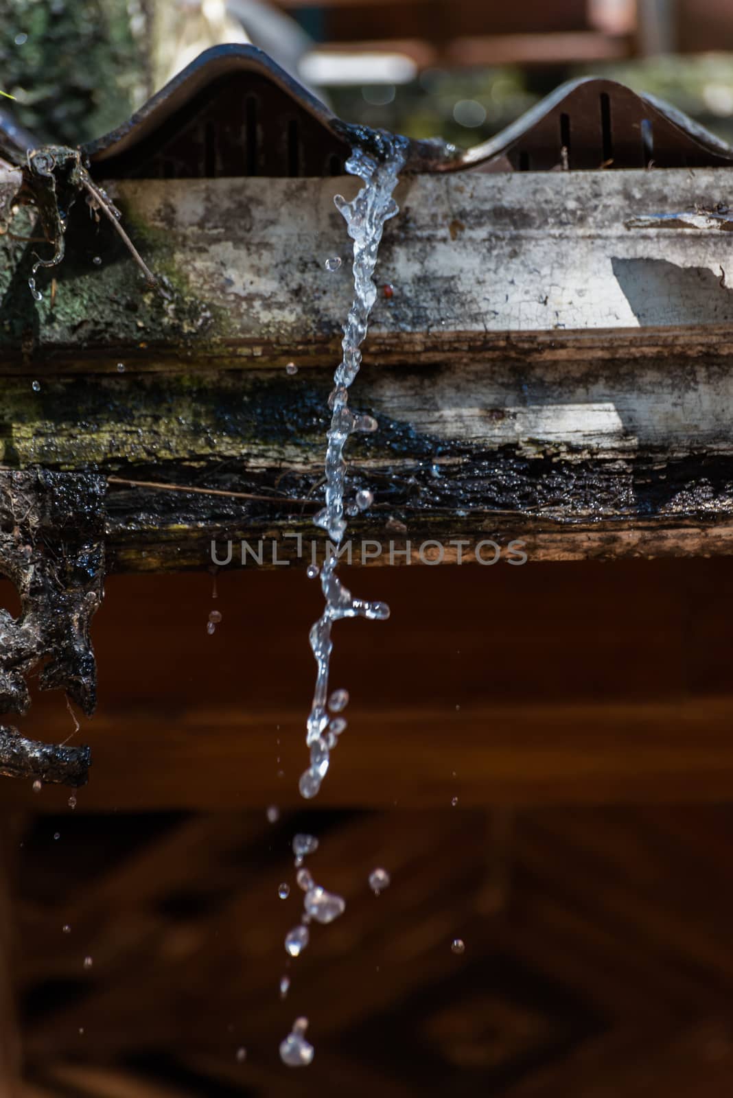 Water drips from the roof. by Soranop01