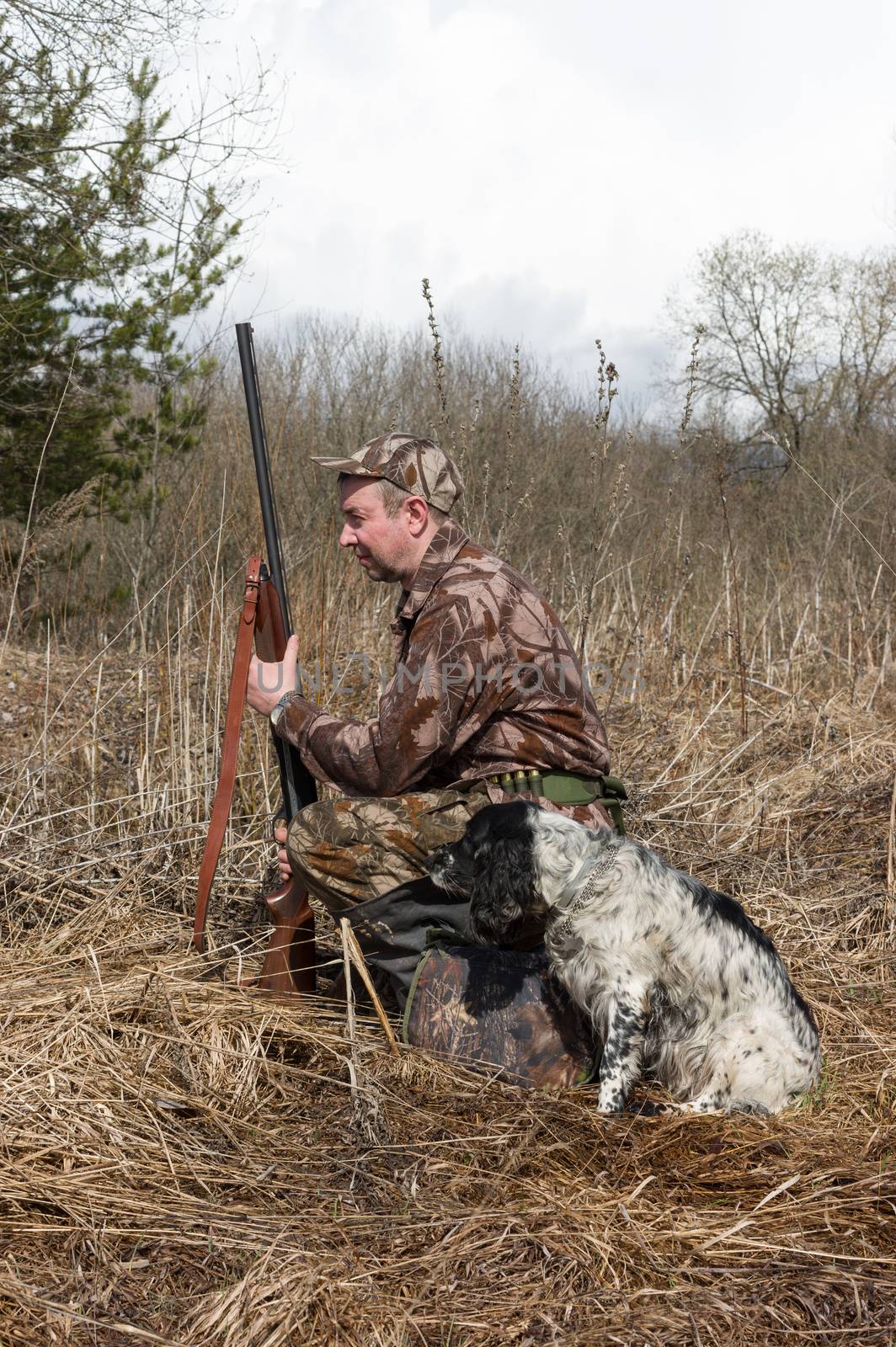 Outdoor shot of man with a gun and Russian hunting Spaniel.