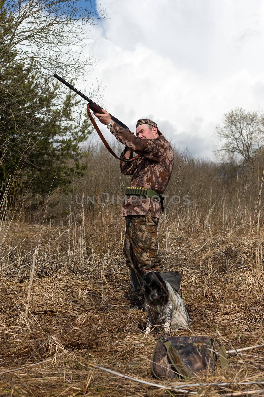 Outdoor shot of man with a gun and Russian hunting Spaniel.