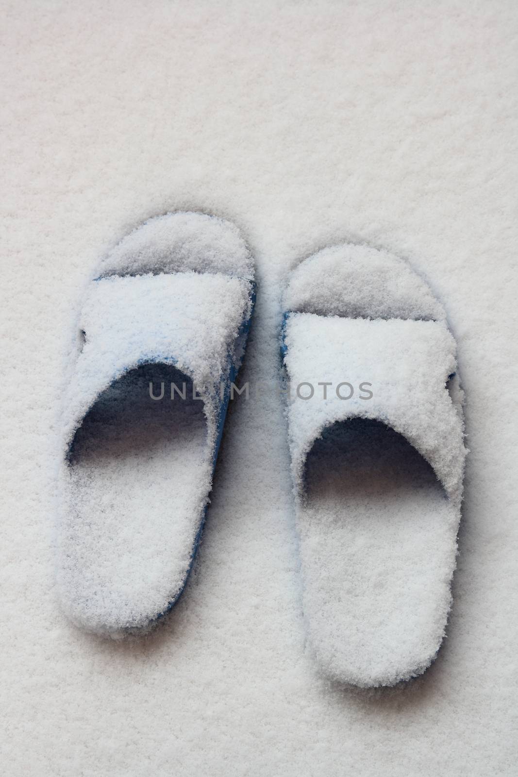frozen slippers with snow on it