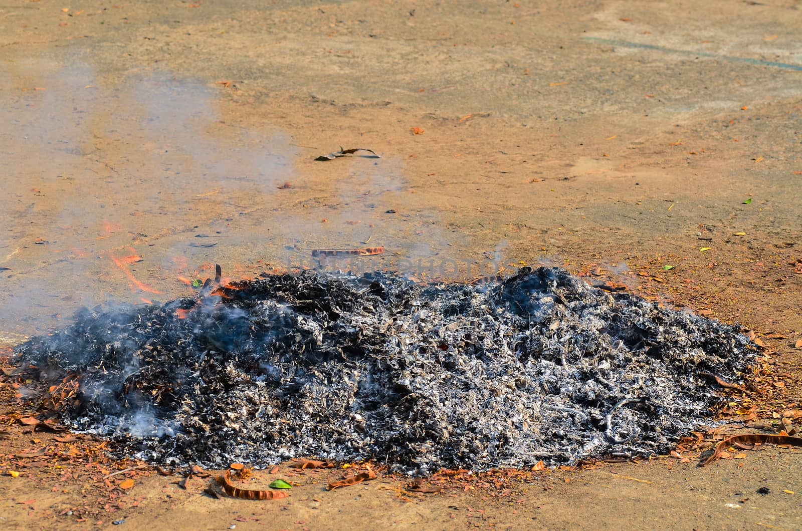 Ashes of wood and leaves