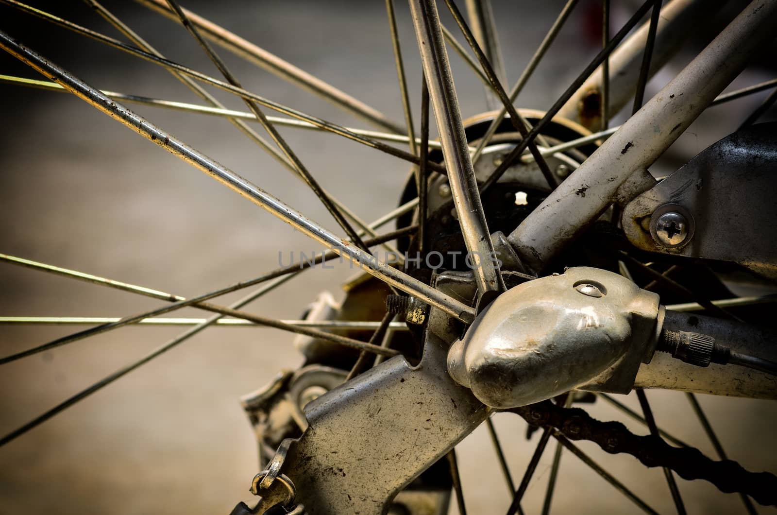 bicycle rear wheel by raweenuttapong