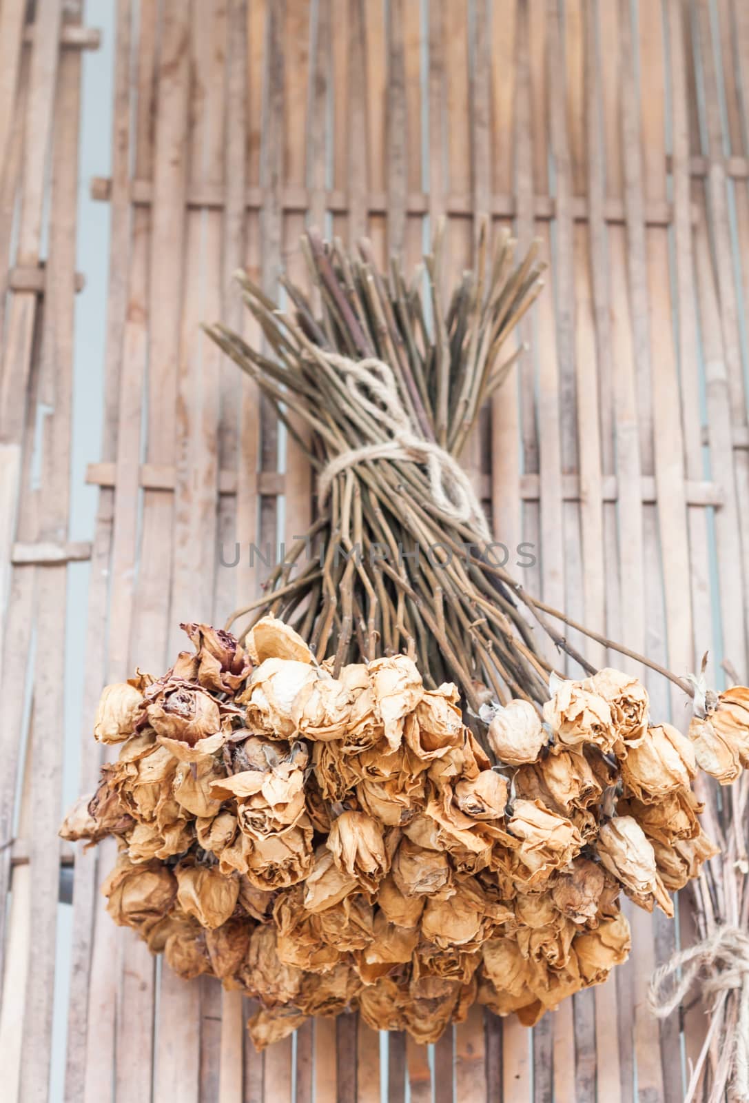 Bouquet of dried flowers hanging on bamboo background, stock photo