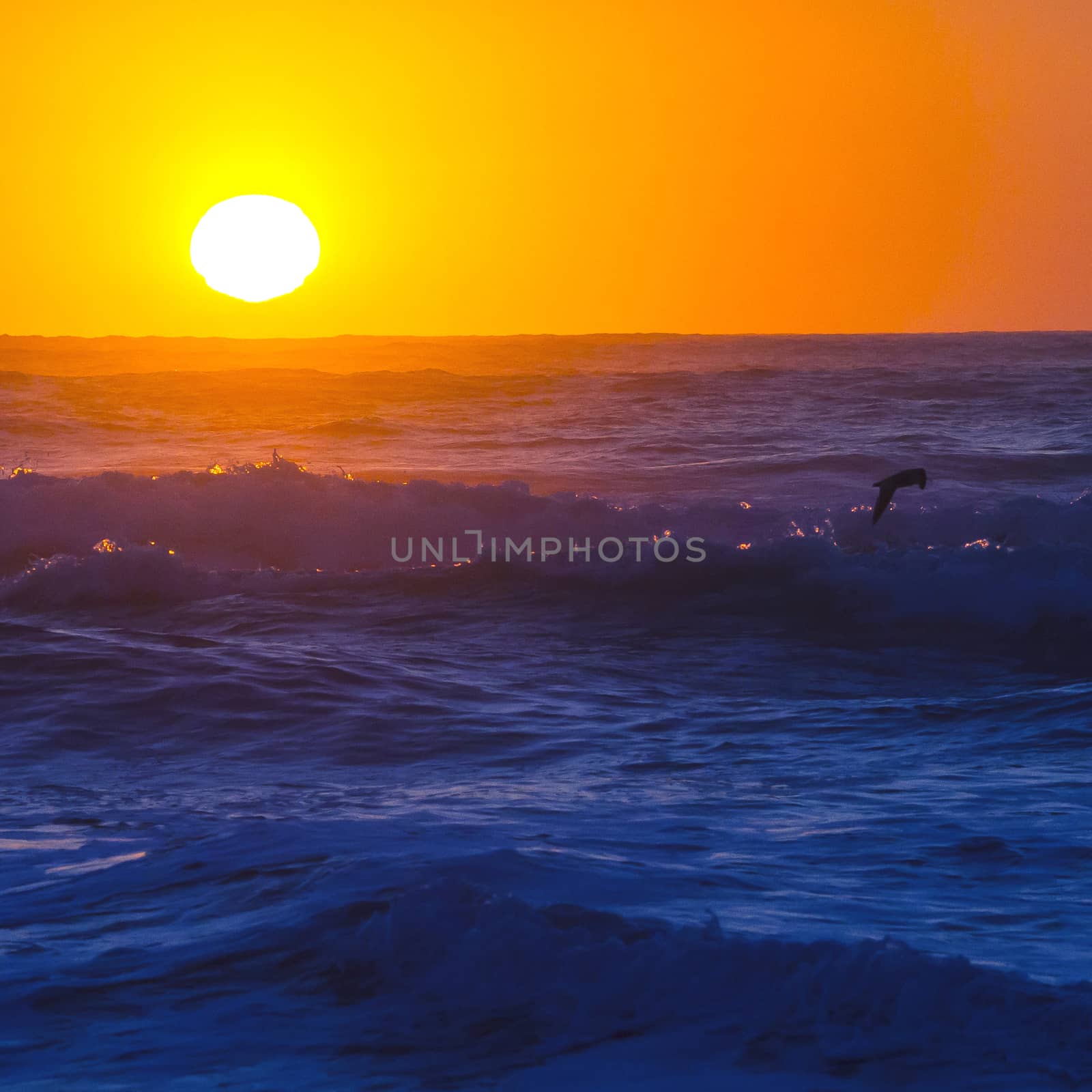 Ocean waves at sunset by Chudakov