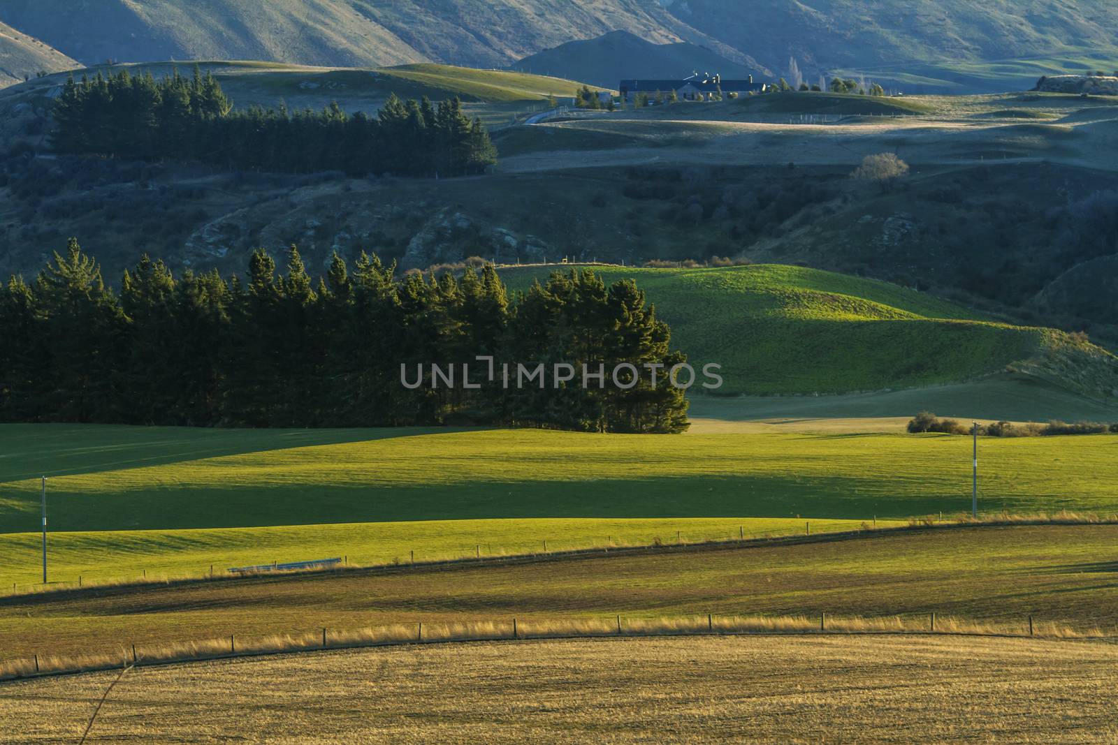 Green valley with a house in New Zealand