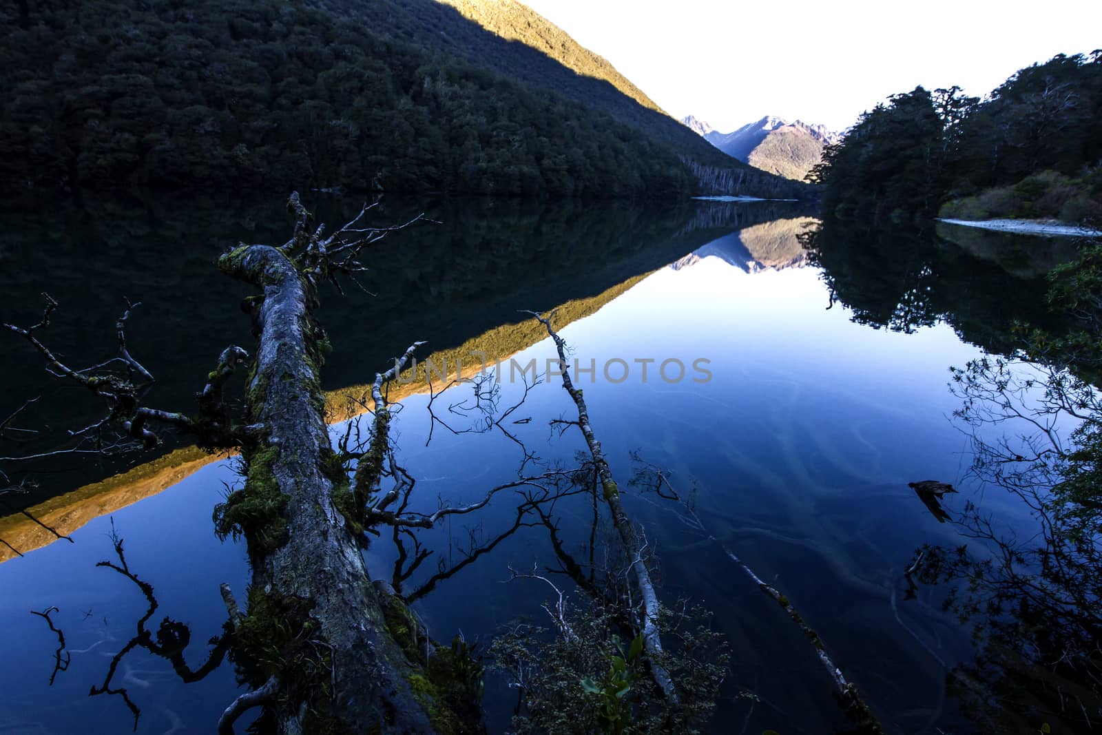 Landscape with a lake in mountains and a branch on foreground, New Zealand