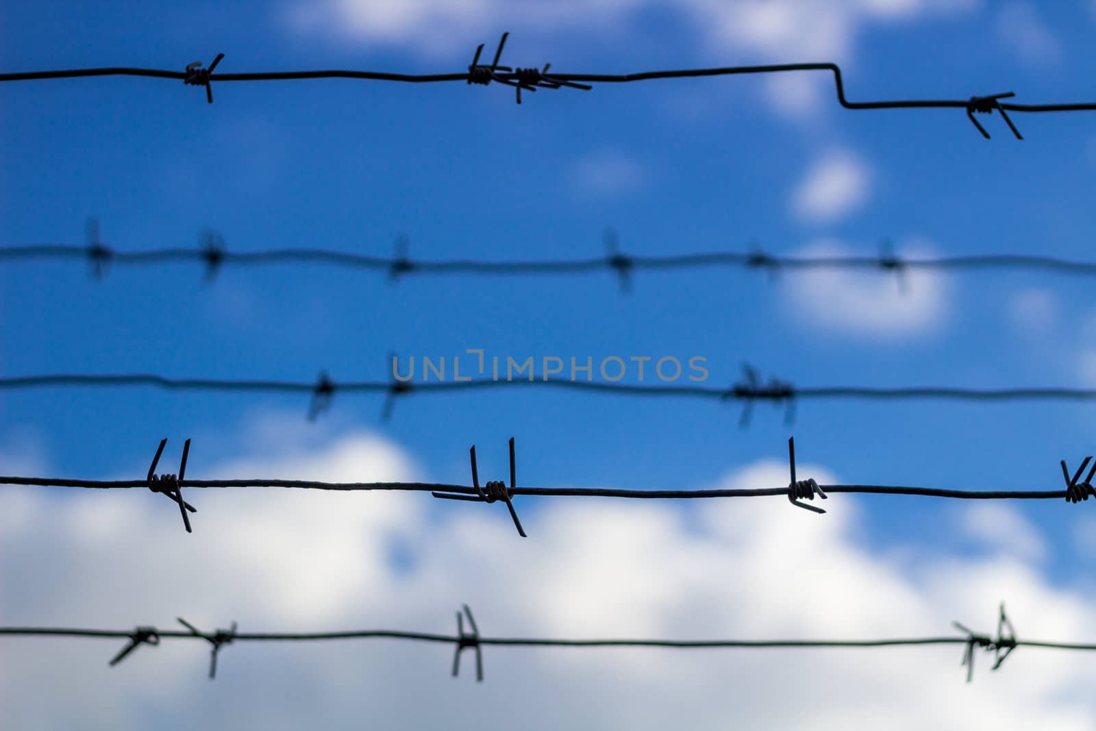 Barbed wire closes blue sky and clouds