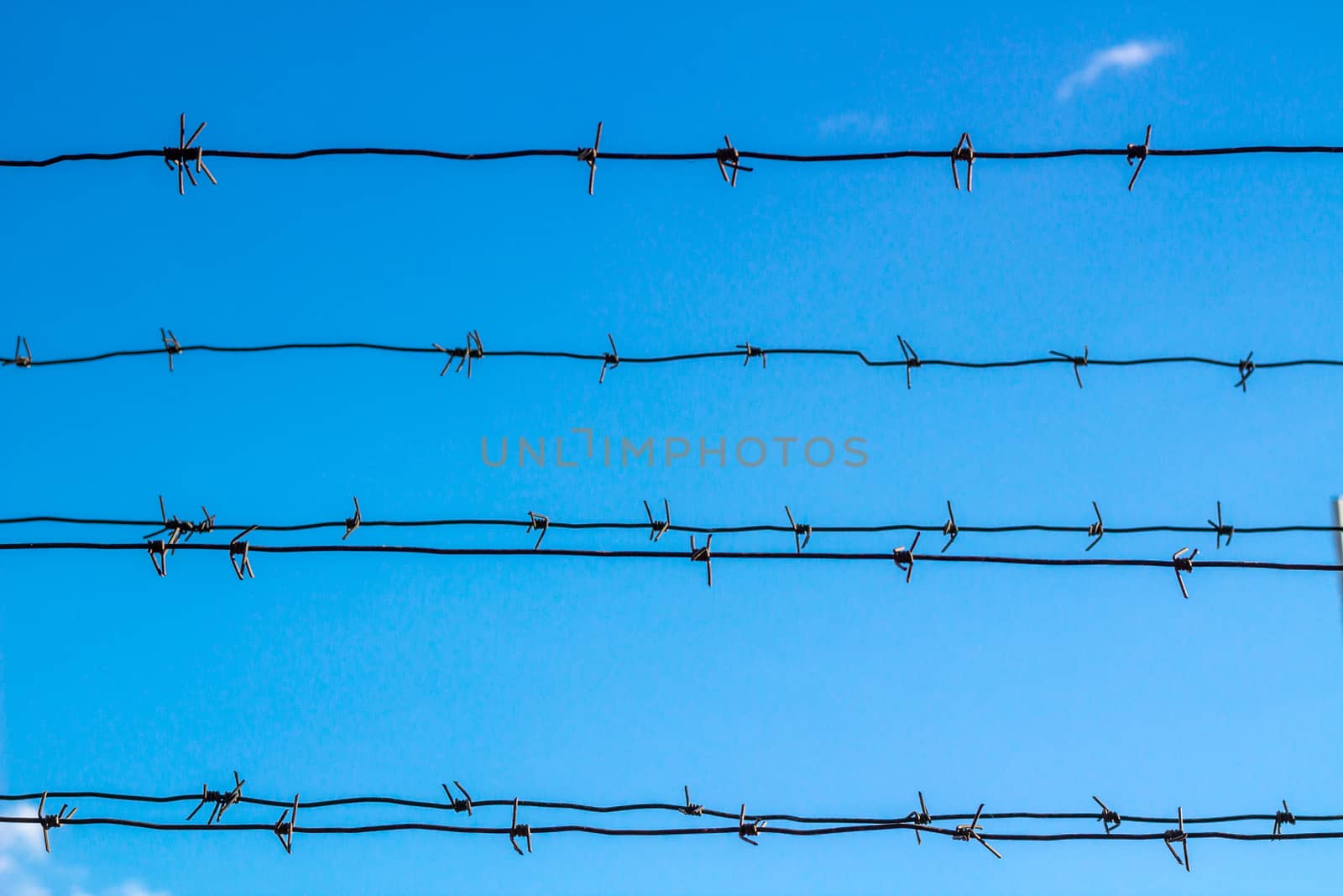 Barbed wire obstructs blue sky