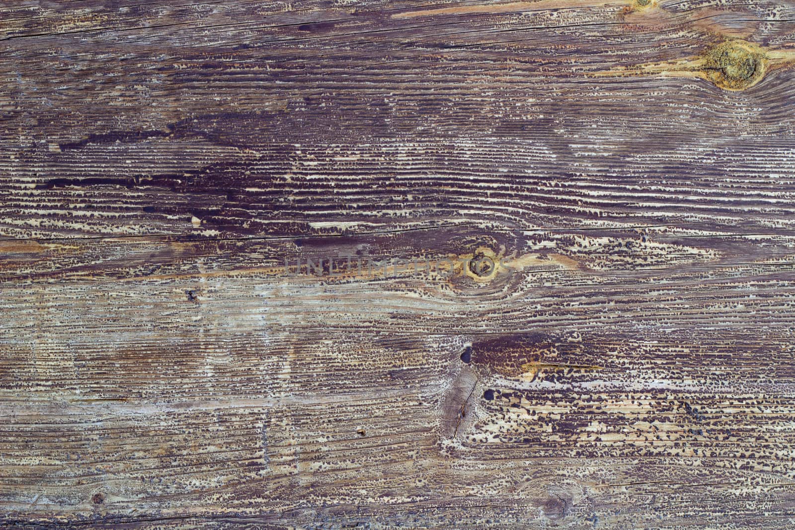 Old wooden board background by VeraVerano