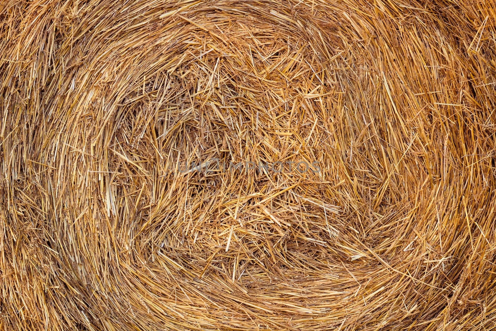 Dry hay stack natural background