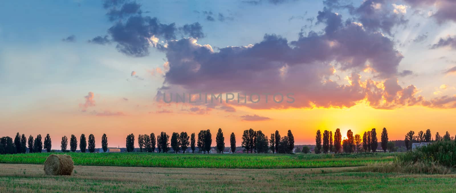 Countryside field dusk panoramic view