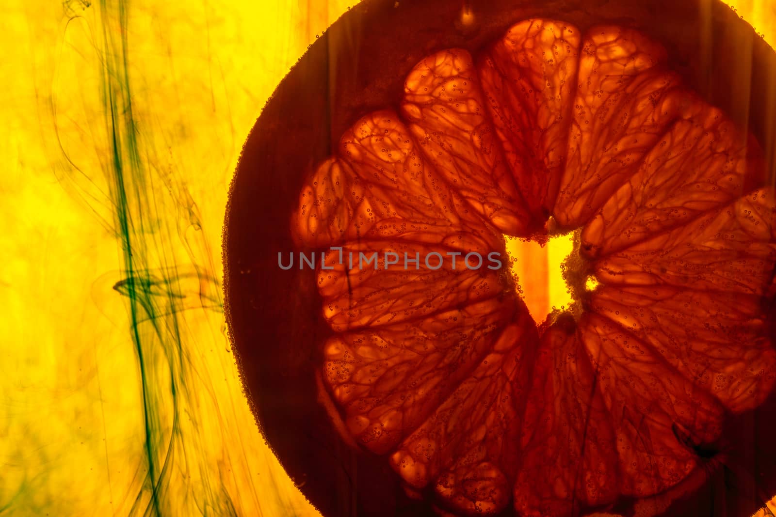  grapefruit slice in water by wjarek
