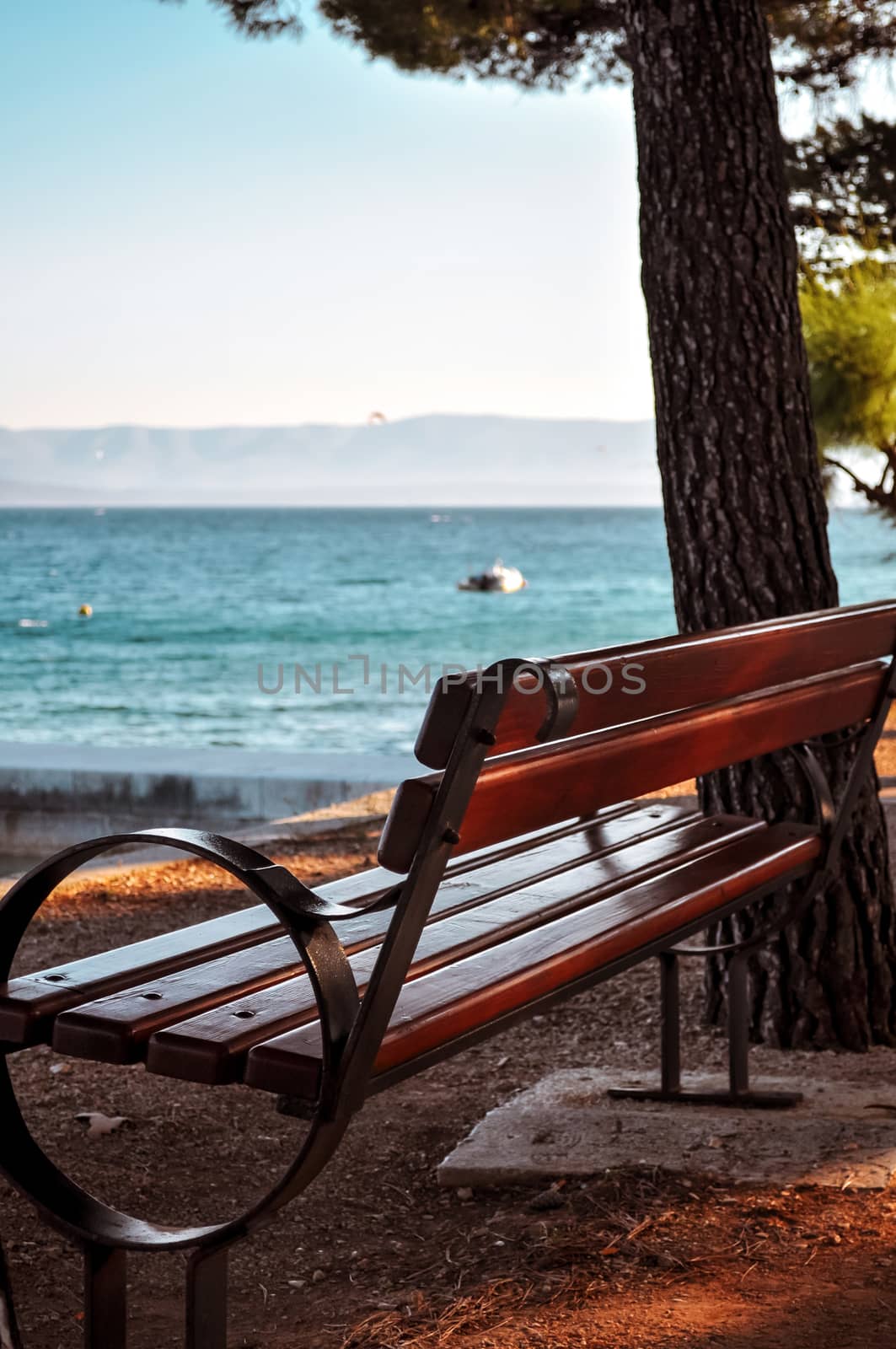 Coastal bench with sea view