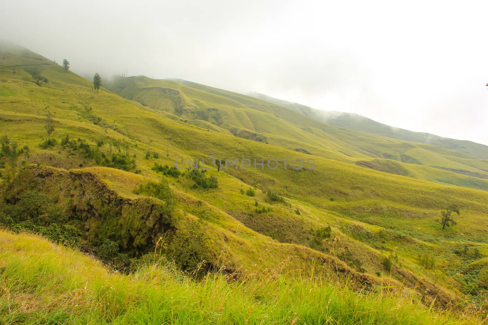 Landscape on mountain with grass and cloud