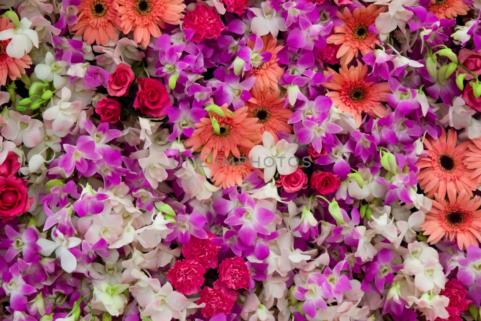 Flowers mixed in wedding scene by liewluck