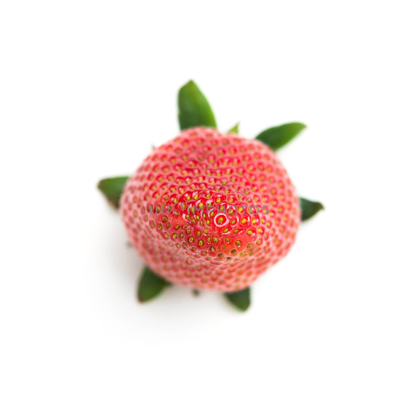 strawberry isolated by antpkr