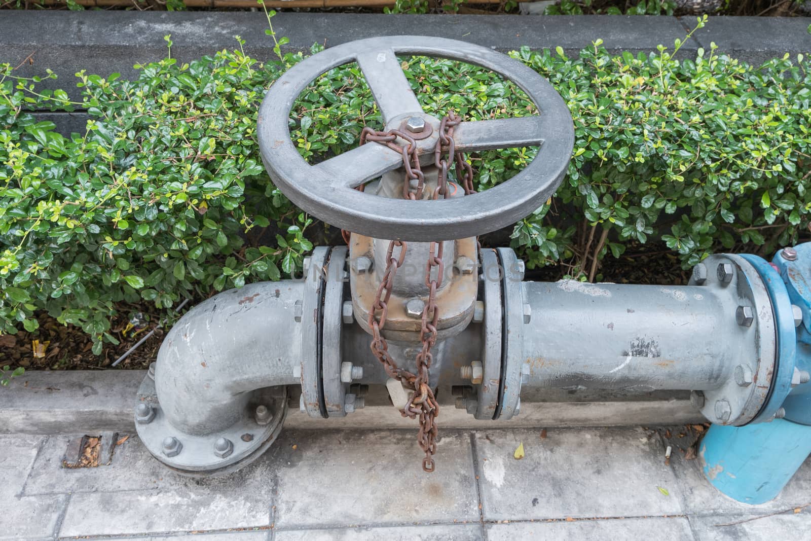 Control knobs for water pipes