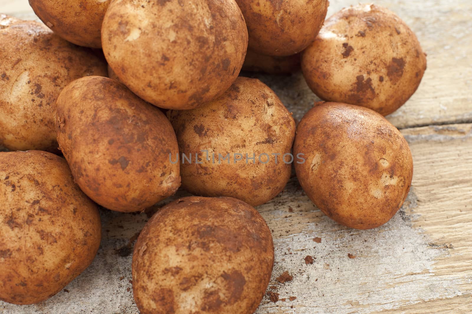 Freshly harvested whole fresh potatoes with adhering dirt in a pile at market on a rustic wooden table