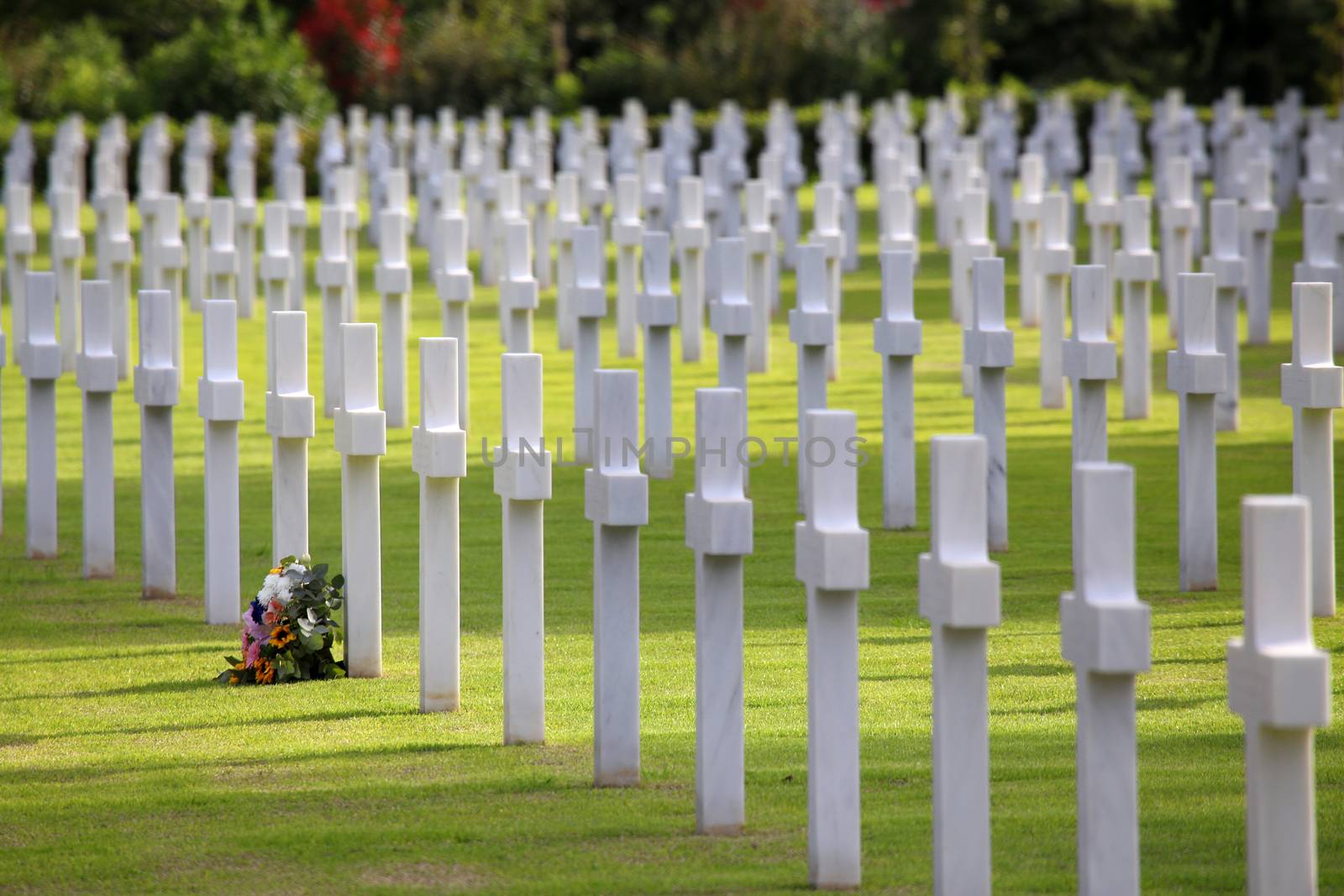 NETTUNO - April 06: Tombs, American war cemetery of the American Military Cemetery of Nettuno in Italy, April 06, 2015 in Nettuno, Italy.