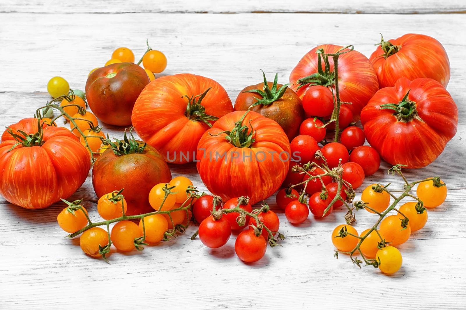 Tomatoes of different varieties plucked from the garden