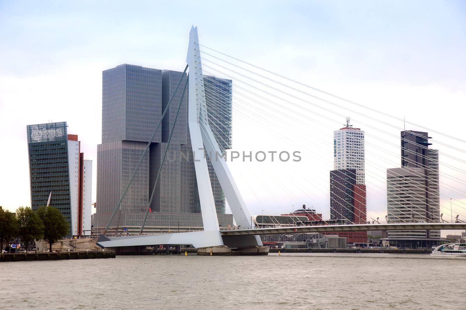 ROTTERDAM, THE NETHERLANDS - 18 AUGUST: Rotterdam is a city modern architecture, view on Erasmus Bridge and skyline of Rotterdam, river Maas in Rotterdam, Netherlands on August 18,2015.