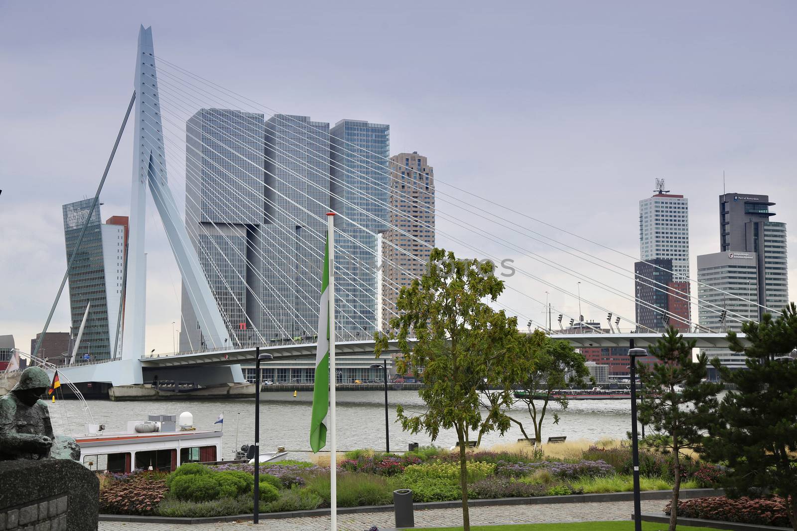 ROTTERDAM, THE NETHERLANDS - 18 AUGUST: Rotterdam is a city modern architecture, view on Erasmus Bridge and skyline of Rotterdam, river Maas in Rotterdam, Netherlands on August 18,2015.