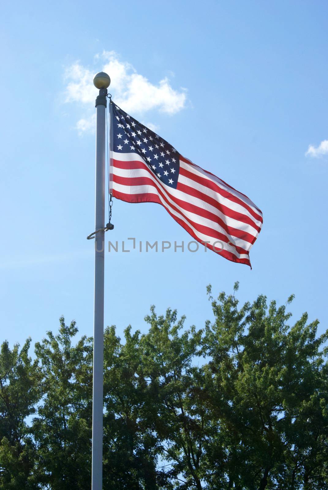 The American flag is flown proudly on a pole.