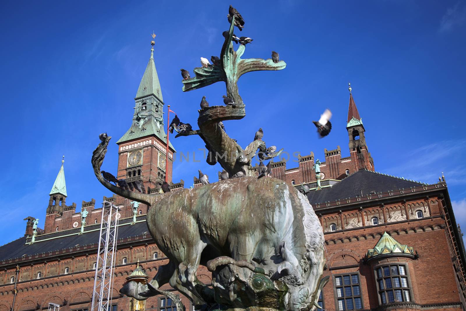 Dragon fountain and Radhus, Copenhagen city hall in Copenhagen   by vladacanon