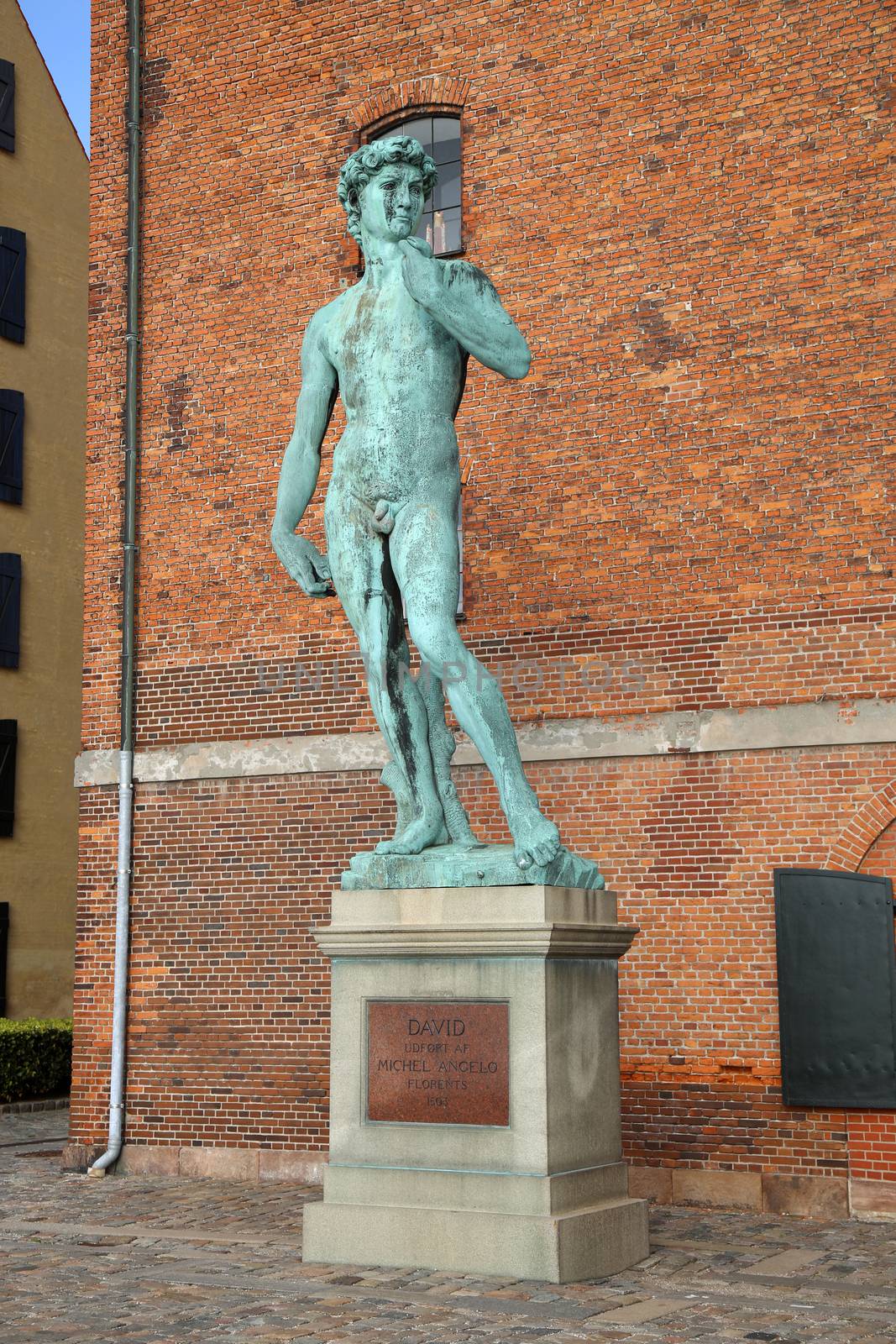 The bronze replica of Michelangelo's David statue in Copenhagen, Denmark