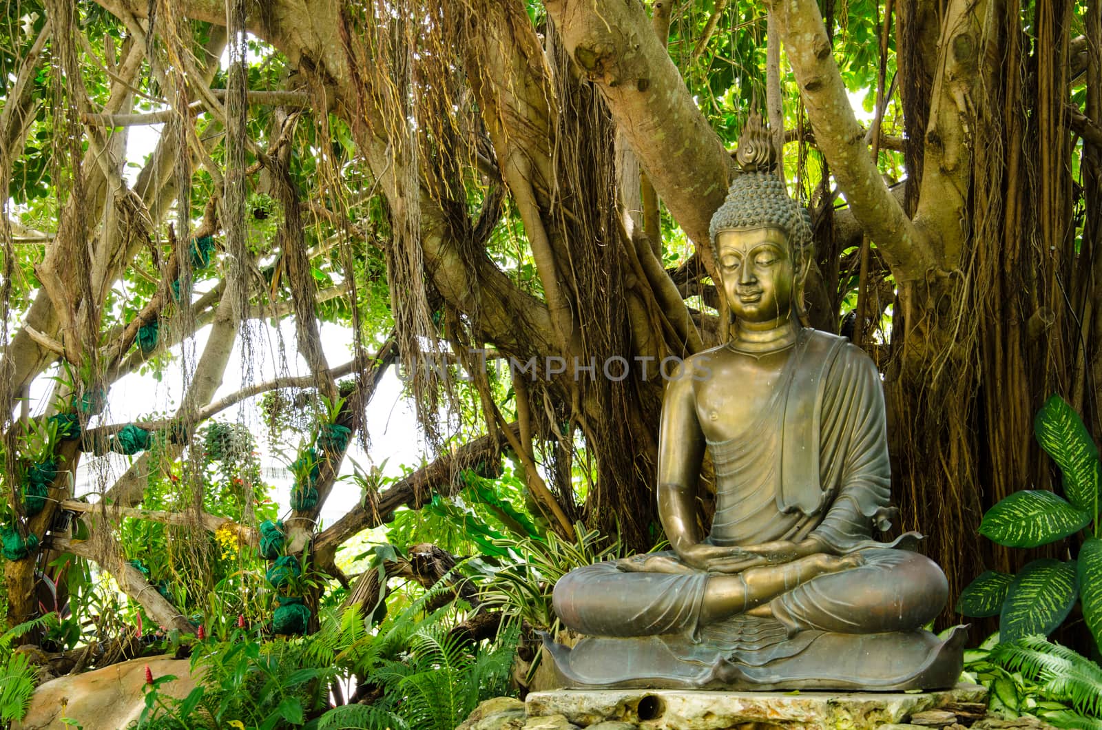 Buddha Statue Wat Rong Khun by migrean